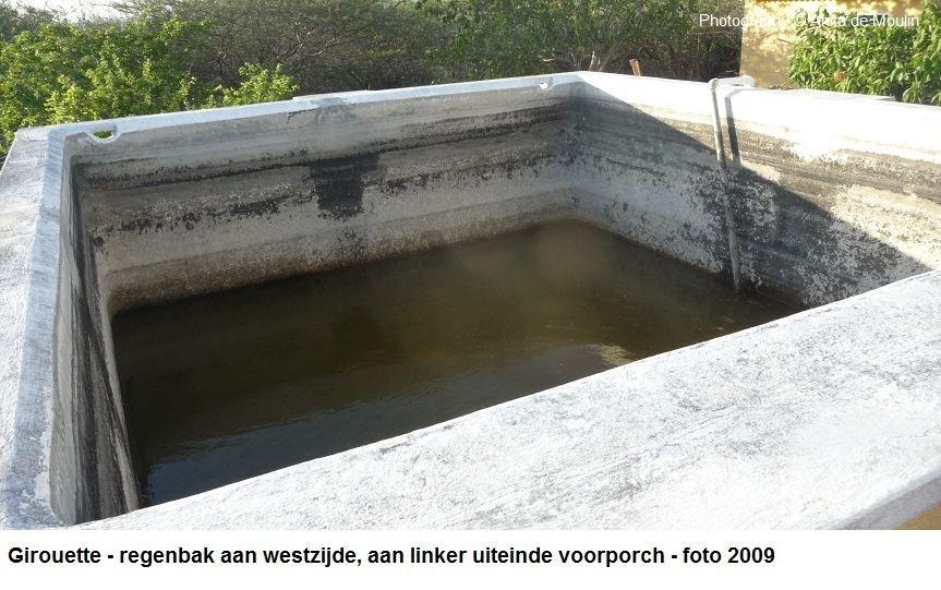 16. Girouette regenbak aan westzijde 2009